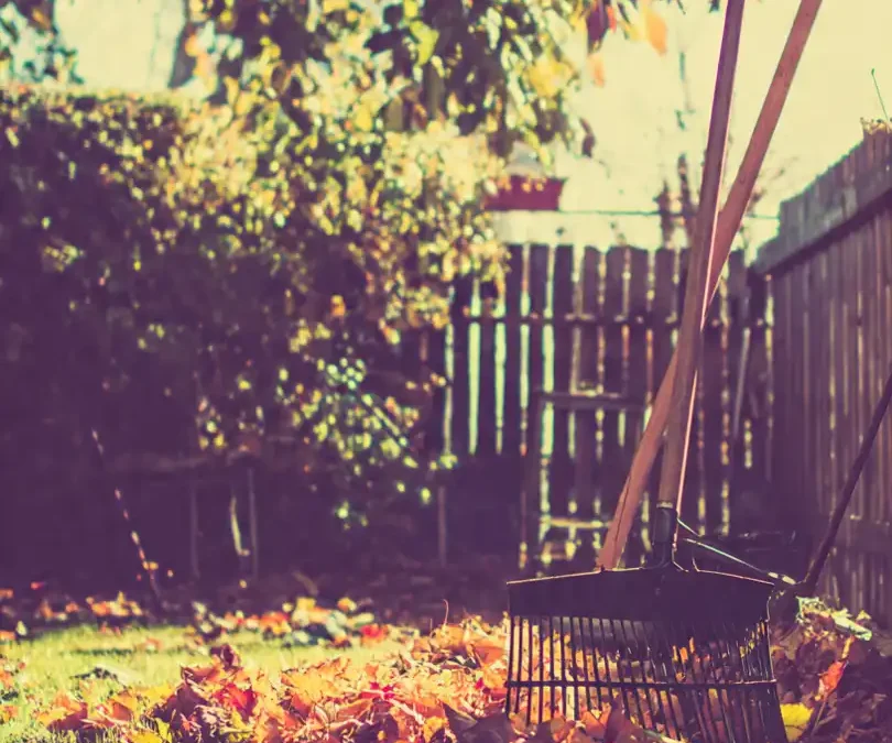 Incinérateur de jardin : Est-ce toujours une bonne idée en 2025 ? (Loi & Alternatives)