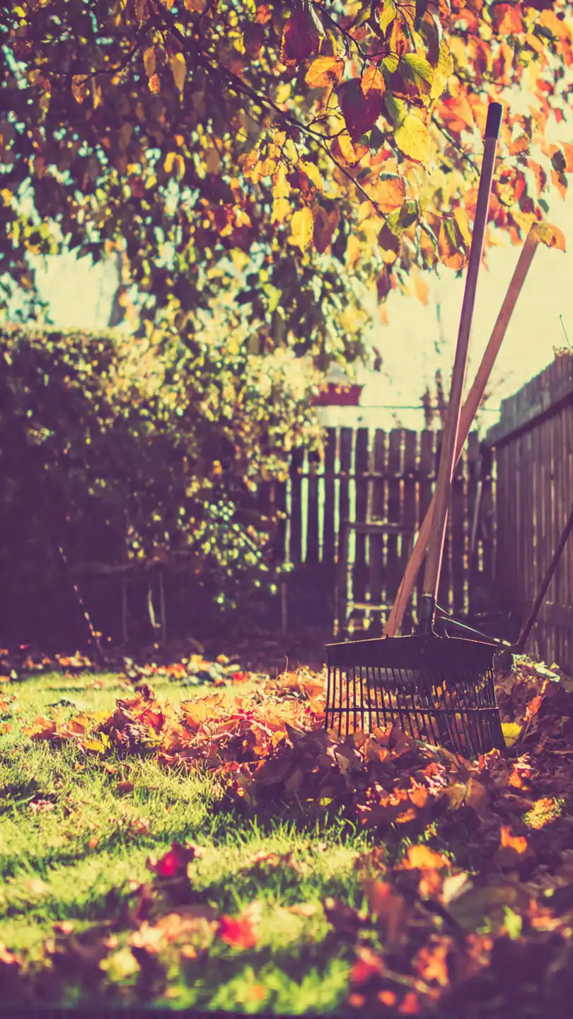 Incinerateur de jardin Est ce toujours une bonne idee en 2025