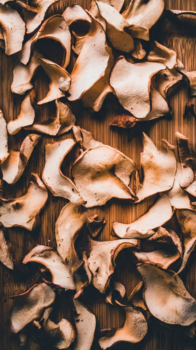 Le Déshydrateur Alimentaire : L'Astuce Slow Life pour une Beauté et une Santé Rayonnantes 2 chips de pommes la cannelle sur