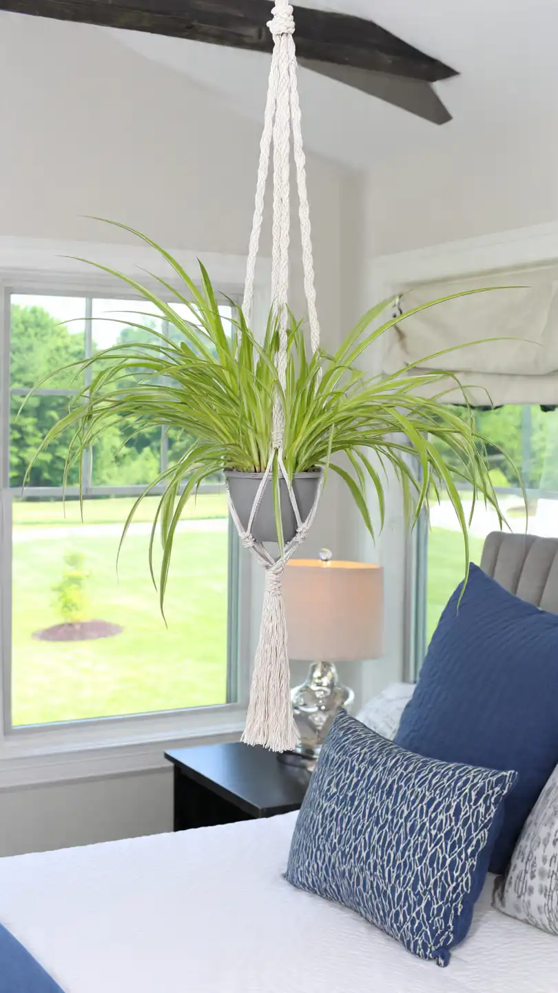 Plantes purifiantes pour chambre à coucher : créez votre cocon de bien-être végétal 1 chlorophytum suspendu en macram devant une fen tre